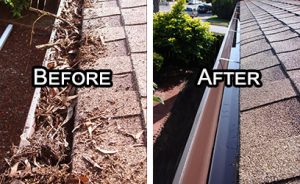 berkeley gutter cleaning oakland