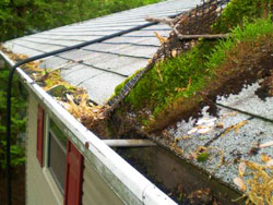 Do gutter gaurds work?